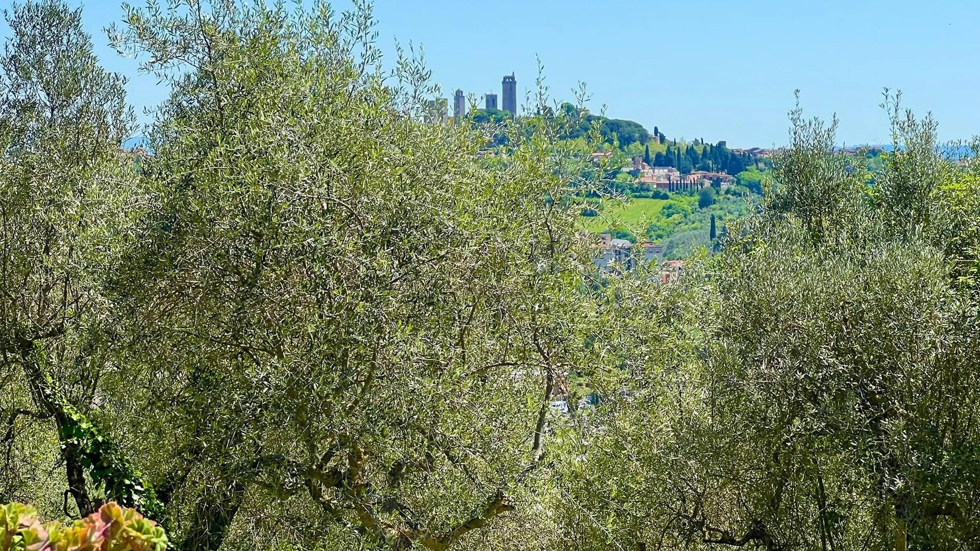 Casina Agli Ulivi - Tuscan Country House Σαν Τζιμινιάνο Ιταλία