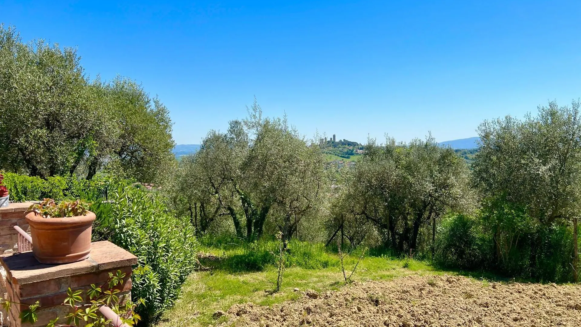 Casina Agli Ulivi - Tuscan Country House Σαν Τζιμινιάνο Σπίτι διακοπών